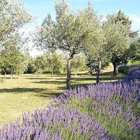 Le Vieux Platane Hotel Cairanne Екстериор снимка